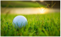 golf boxes