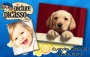 canvas pictures discount