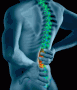 chiropractor deal