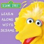 Learn Along with Sesame Deal
