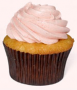 Dog Cupcake Deal