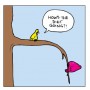 Diet Bird Cartoon