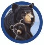 Mommy Bear Media