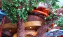 Treehouse Museum Deal