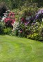 Winchester Gardens Plant Deal