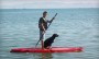Bear Lake Paddle Board Rental