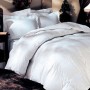 LivingSocial 5 piece comforter bedding set
