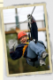 zip line course
