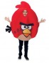 Angry Birds Costume