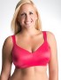 Lane Bryant Bra Sale
