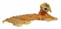 cuddleuppet