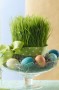 wheat-grass-easter
