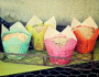 muffin cups 1