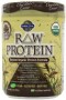 garden of life raw protein