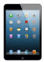 iPad mini