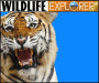 wildlife explorer