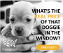 Puppy mills