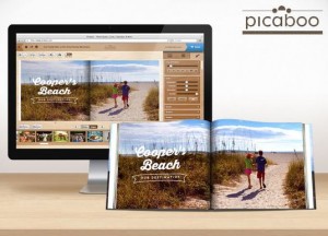 picaboo living social deal