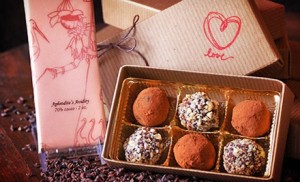 the chocolate conspiracy groupon deal