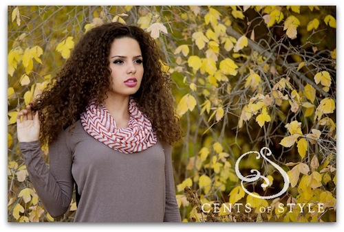 Cents of Style Chevron Infinity Scarf