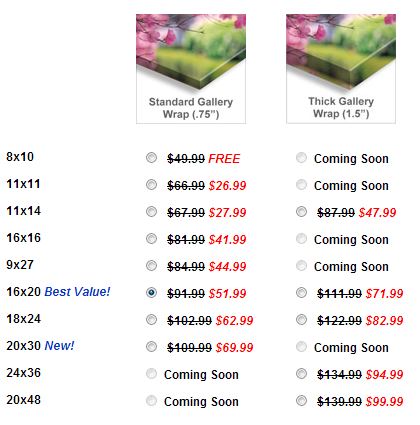 canvaspeople free 8x10