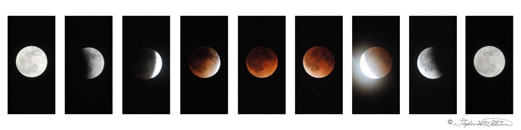 2014-4-15 Lunar Eclipse - Copyrighted