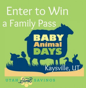 Baby Animal Days Giveaway