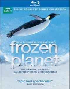 frozen planet