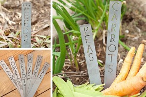 garden stakes