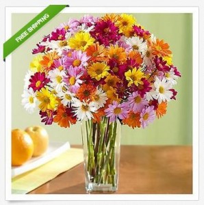 100 blooms mothers day flowers