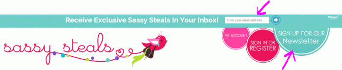 Sassy Steals Newsletter
