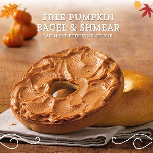 Free Pumpkin Shmear