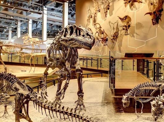 Natural History Museum of Utah *HOT* Natural History Museum of Utah: Admission for As Low As $5.53 Each!