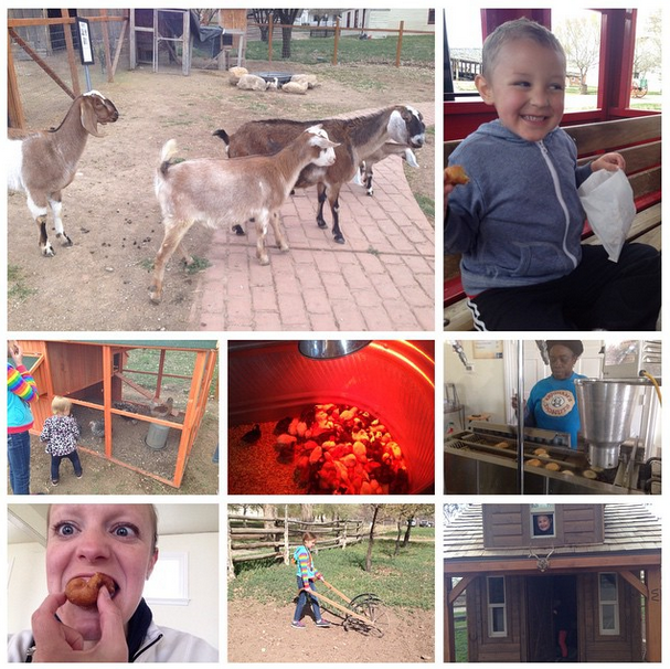 this is the place collage