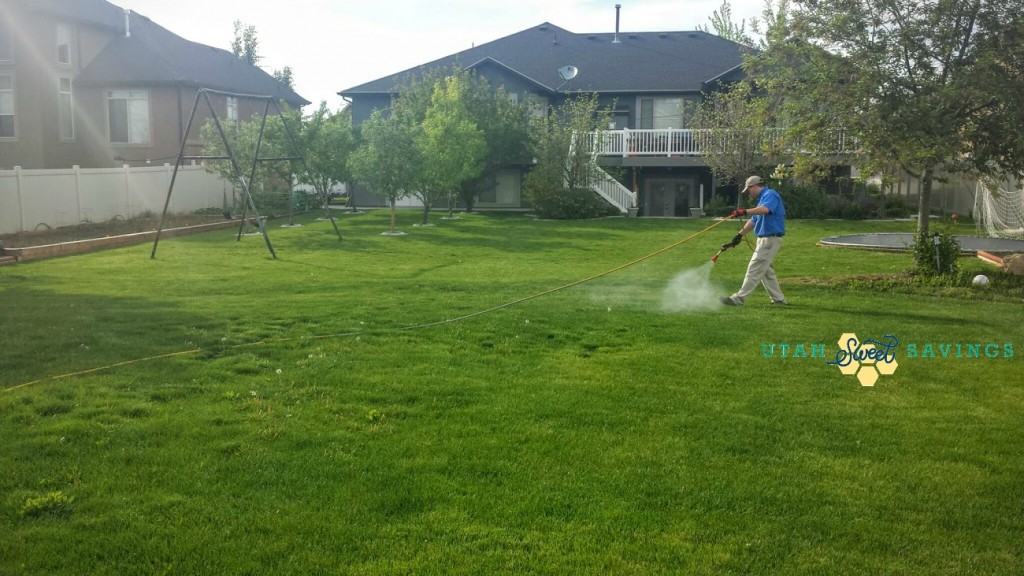 Beeline Yard Spray