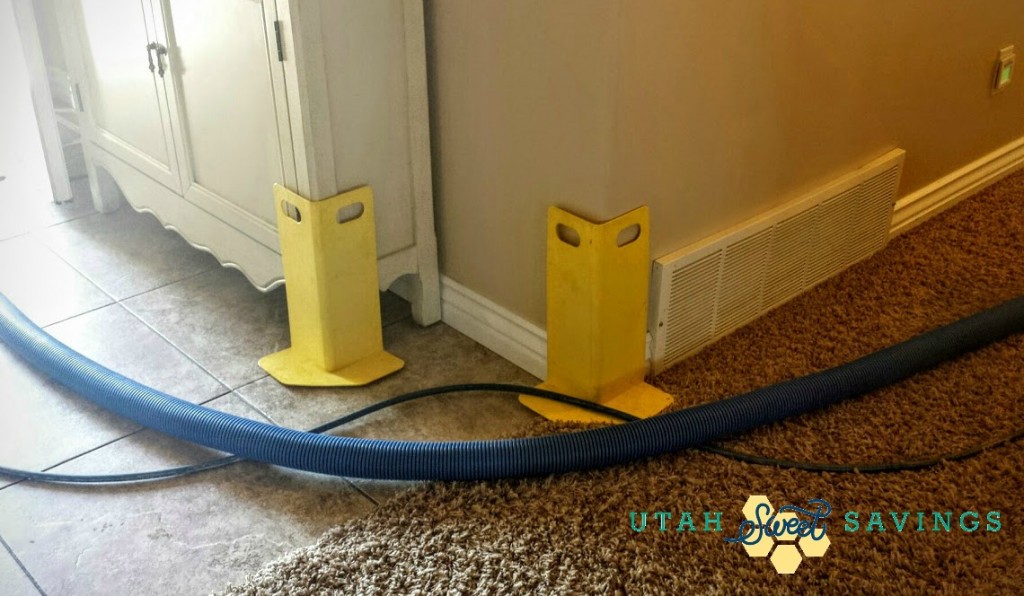 EcoCarpet Protecting my home