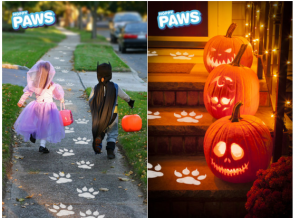 halloween paws
