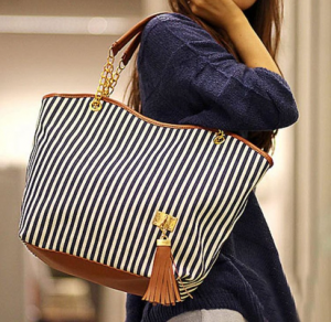 striped canvas purse