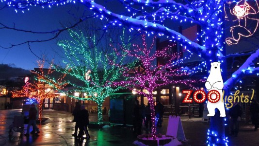 hogle zoo lights