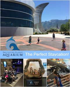Loveland Living Planet Aquarium! Your Staycation Destination This ... - Living Planet Aquarium Main 240x300 Loveland Living Planet Aquarium! Your Staycation Destination This ... - Living Planet Aquarium Main 240x300